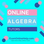 Online Algebra Tutors