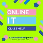 Online Information Technology Class Help